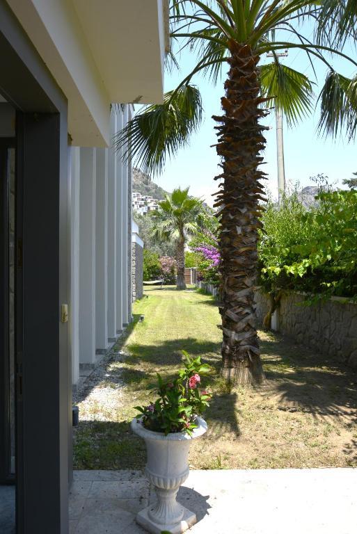 Superior Villa