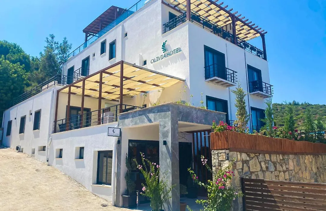 Hotel Olivia-1