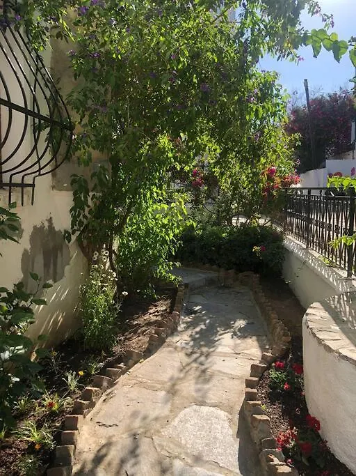 Turkbuku Karaca Home-1
