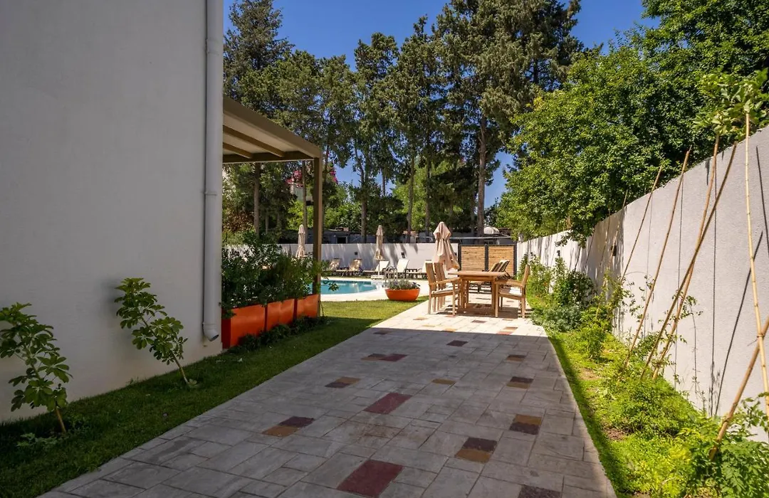 Olive Tree Hotel-1