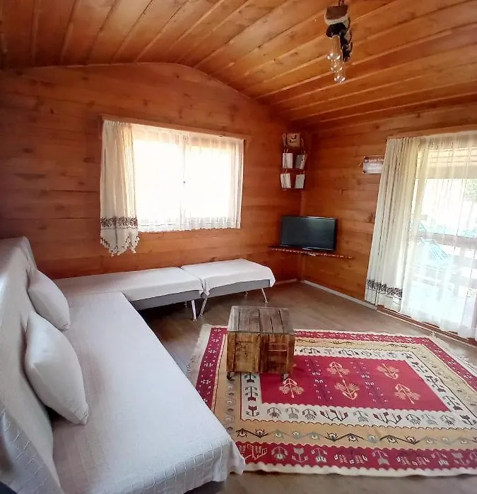 Defnewoodhome-1