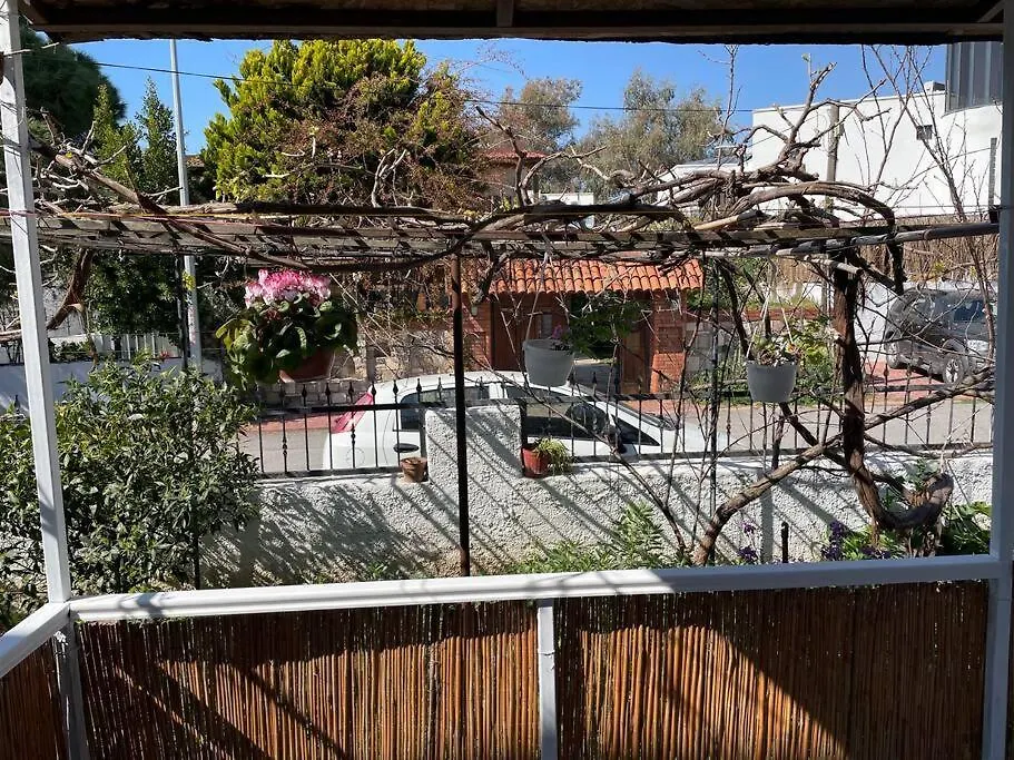 Mazi House-1
