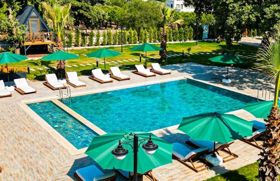 Elasu Bodrum-1