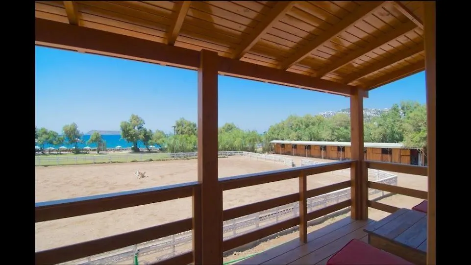 Equestrian And Beach Club-1