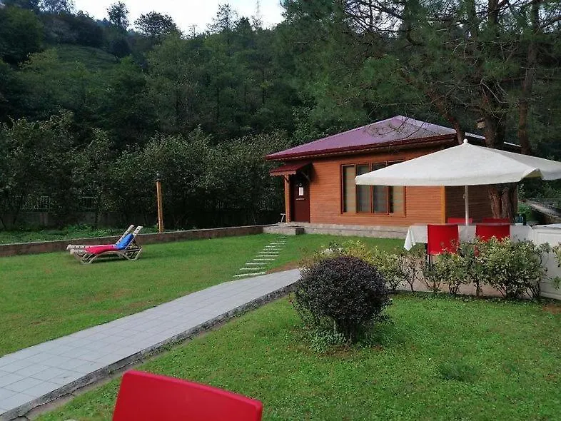 Trabzon Karadeniz Uzungol-1