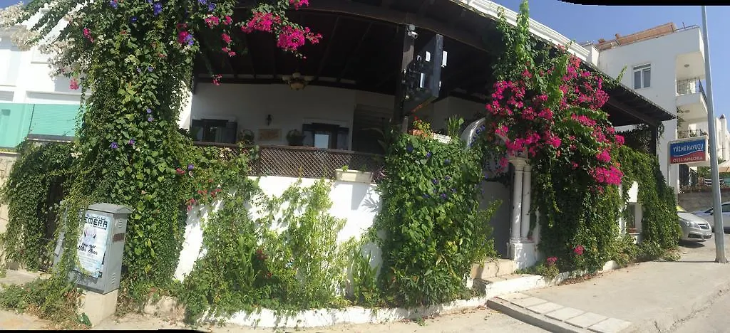 Pasha Motel-1
