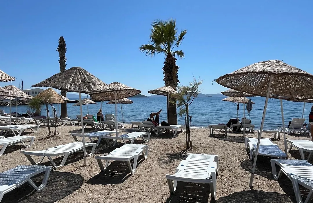 Bodrum-Turgutreis Merkezde Plaja 50 Metre Uzaklikta 1 Ve 2 Numarali Daireler-1