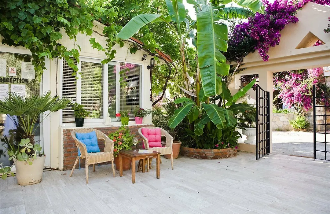 Merve Apartments, Your Home From Home In Central Bodrum, Street Cats Frequent The Property, Not All Apartments Have Balconies , Ground Floor Have Terrace With Table And Chairs-1