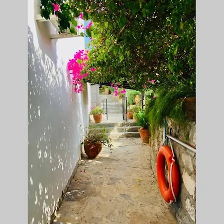 5 Star Private Villa & Private Swimming Pool-2