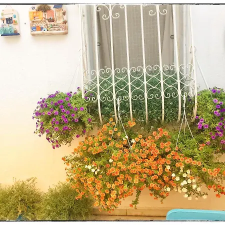 Bodrum Sade Pension-2