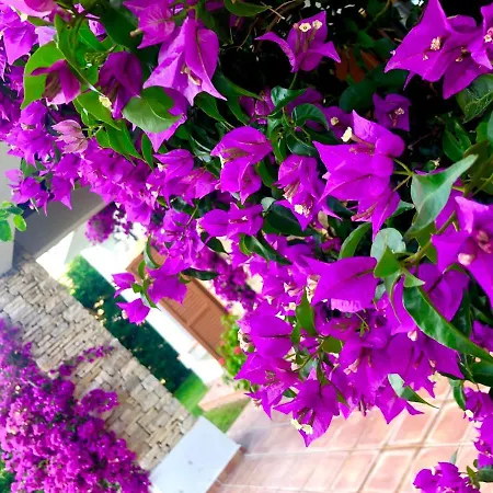 Breathtaking Sea View With A Peaceful Garden-2