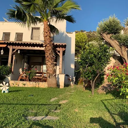 Bodrum Gundogan Villa For Rent Clup Sunset-2