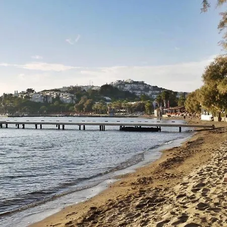 Summer Private Villa With Garden And Private Pool, Within Walking Distance To The Sea In Bodrum Gumusluk-3