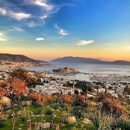 Merve Apartments, Your Home From Home In Central Bodrum, Street Cats Frequent The Property, Not All Apartments Have Balconies , Ground Floor Have Terrace With Table And Chairs-2