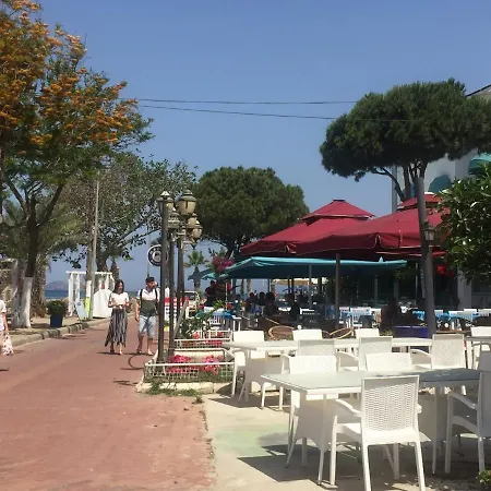 Bodrum-Turgutreis Merkezde Plaja 50 Metre Uzaklikta 1 Ve 2 Numarali Daireler-2