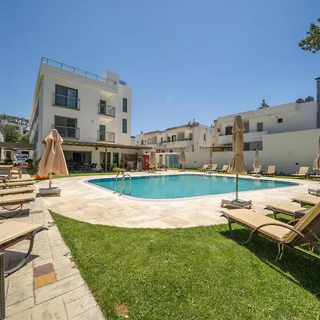 Olive Tree Hotel-2