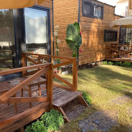 Robinson Tiny House Park-2