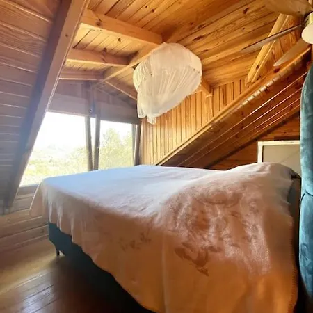 Artistic 1-Bedroom Cabin With Indoor Fireplace-3