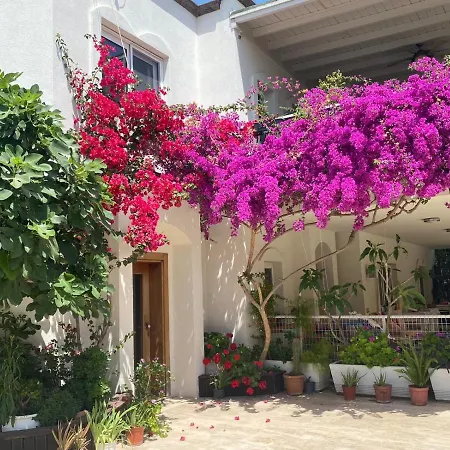 Karayel Apart Hotel-3