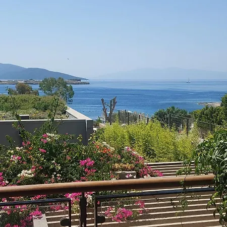 Ocean Front Super Lux Villa With Its Own Sandy Beach & Amenities-2