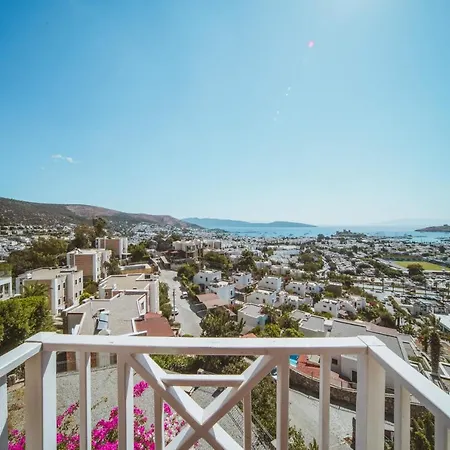 Luxury Villa With Pool Best View In Bodrum-2