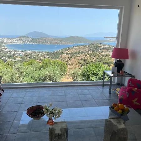 Villa With Amazing View In Bodrum-2