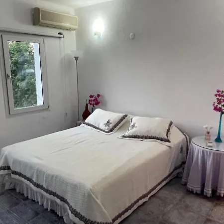 Villa With Amazing View In Bodrum-3