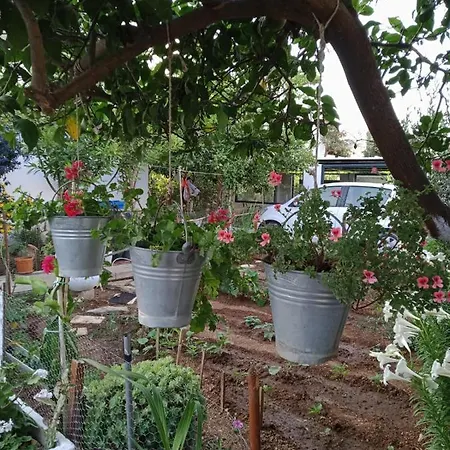 Best Location In Bodrum Center-2