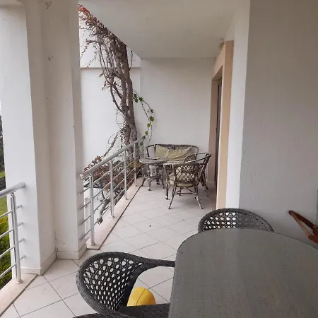 Carpe Diem House-2
