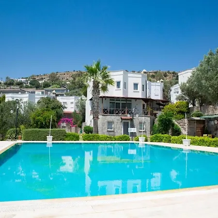 Luxury Villa In Tuerkbuekue Bodrum Turkey Close To Maca Kizi-2