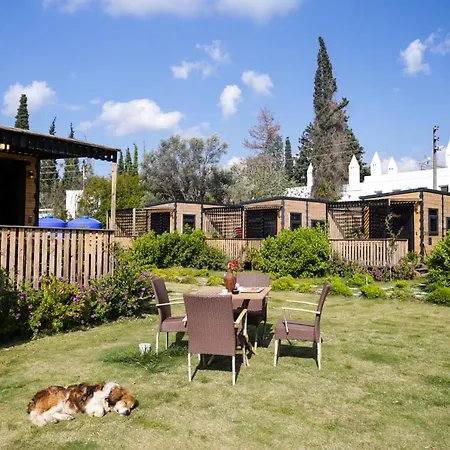 Bitez Tinyhouse-2