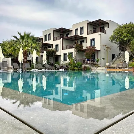 Dorman Suites-2