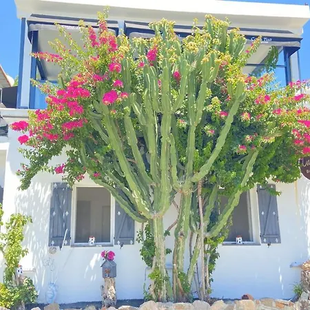 Casa Tua Butik Otel-3