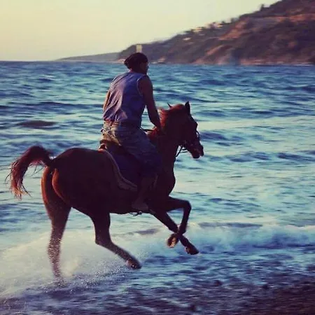 Equestrian And Beach Club-2