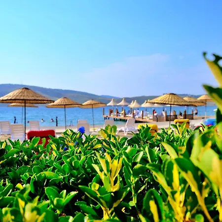 Oscar Seaside Hotel & Spa-2
