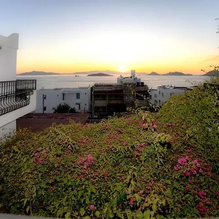 West Coast Boutique Hotel-3