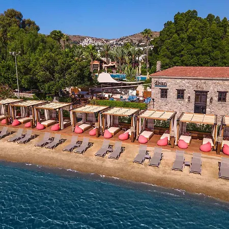 Divan Bodrum Palmira-3