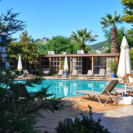 Costa Bodrum City-3