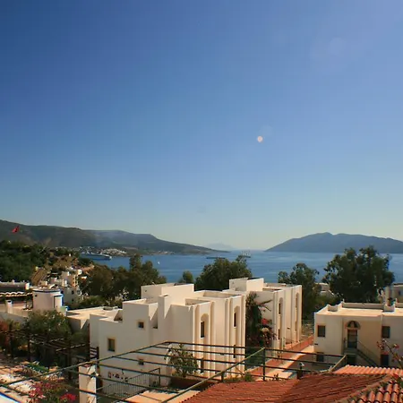 Sunshine Hotel-3