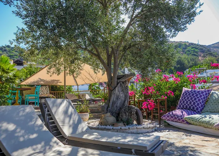 Boutique The Aegean Gate Hotel (Adults Only) Bodrum