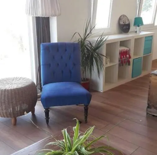 Nature View Boho Apartment In Gumusluk Bodrum acceptant les animaux