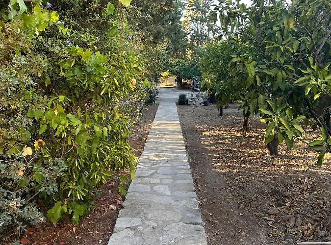 Guemuesluekte Muestakil Ev Bodrum che accetta animali