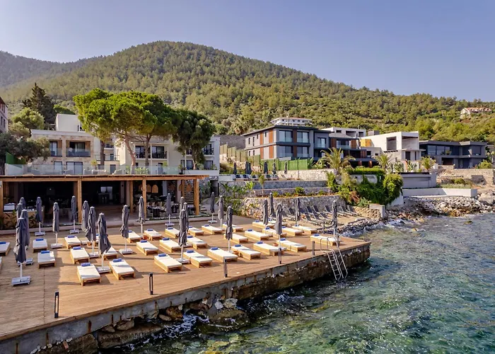 İsolina Bodrum