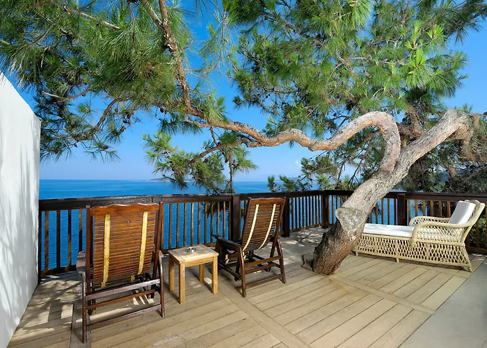 Sarpedor Boutique Hotel And Spa Bodrum che accetta animali
